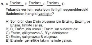 Mezun Biyoloji A Test 7 Soru-9