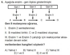 Mezun Biyoloji A Test 8 Soru-6