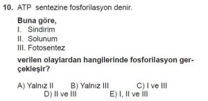 Mezun Biyoloji A Test 9 Soru-10