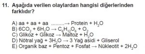 Mezun Biyoloji A Test 9 Soru-11