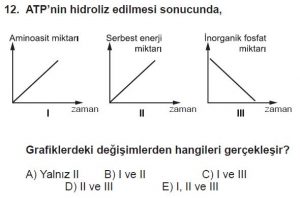 Mezun Biyoloji A Test 9 Soru-12