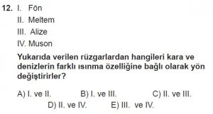 Mezun Coğrafya Test 10 Soru-12