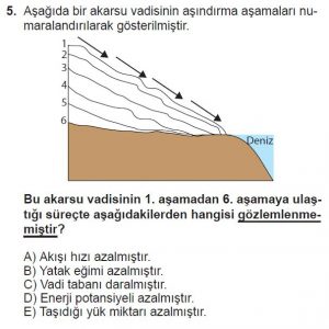 Mezun Coğrafya Test 14 Soru-5