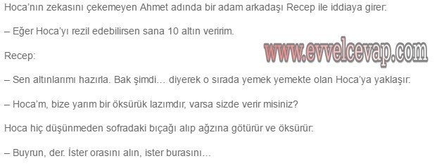 Özgün Yayınları Nasrettin Hoca 8. Etkinlik Cevabı
