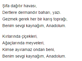 anadolu-metni-1-etkinlik-cevaplari