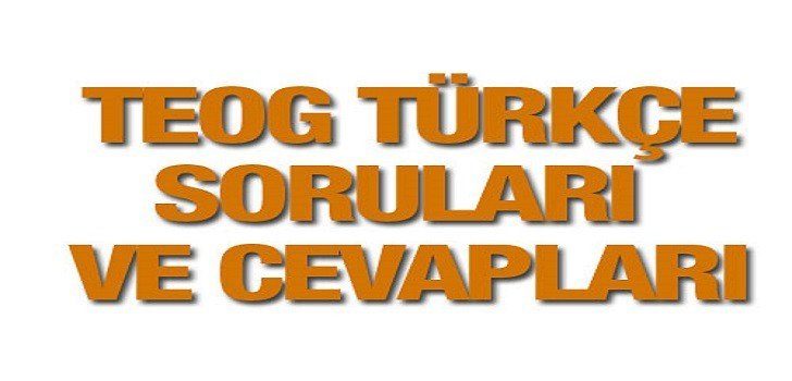 23 Kasım 2016 Teog Türkçe Cevapları