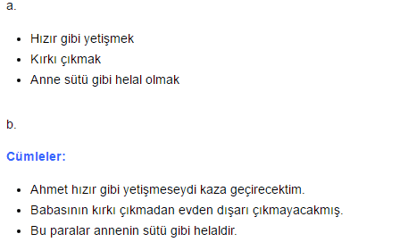 dirse-han-oglu-bogac-han-boyu-10-etkinlik-cevaplari