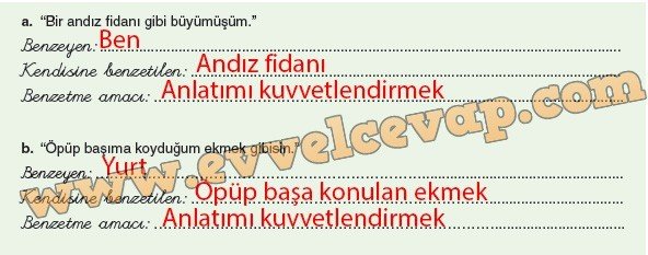 yurdum-metni-6-etkinlik-cevaplari