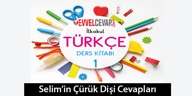 Selim'in Çürük Dişi Metni Etkinlik Cevapları (1. Sınıf Türkçe)