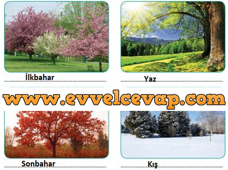 2. Sınıf SDR İpek Yolu Yayıncılık Hayat Bilgisi Ders Kitabı Sayfa 219 Cevabı