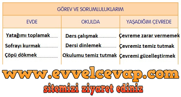 3. Sınıf Evrensel İletişim Yayınları Hayat Bilgisi Ders Kitabı Sayfa 163 Cevabı 