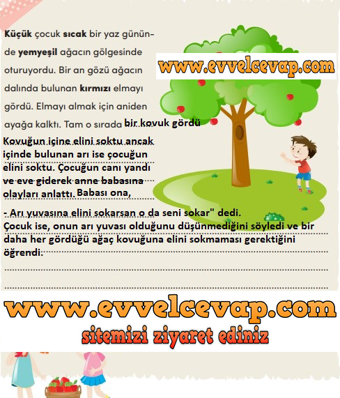 Ağaç Metni Etkinlik Cevapları (3. Sınıf Türkçe)