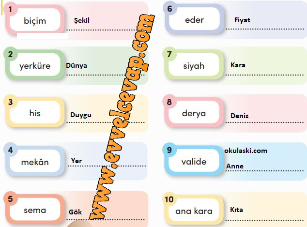 3. Sınıf Türkçe Ders Kitabı Meb Yayınları Sayfa 252 Cevabı