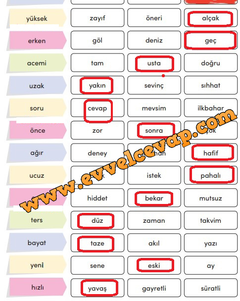 3. Sınıf Türkçe Ders Kitabı Meb Yayınları Sayfa 253 Cevabı