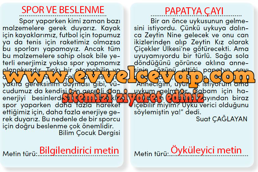 Şifa Niyetine Metni Etkinlik Cevapları (4. Sınıf Türkçe)