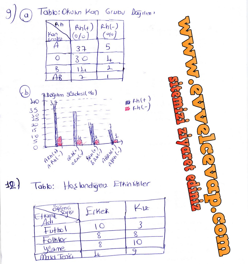 6. Sınıf Berkay Yayıncılık Matematik Ders Kitabı Sayfa 216 Cevapları