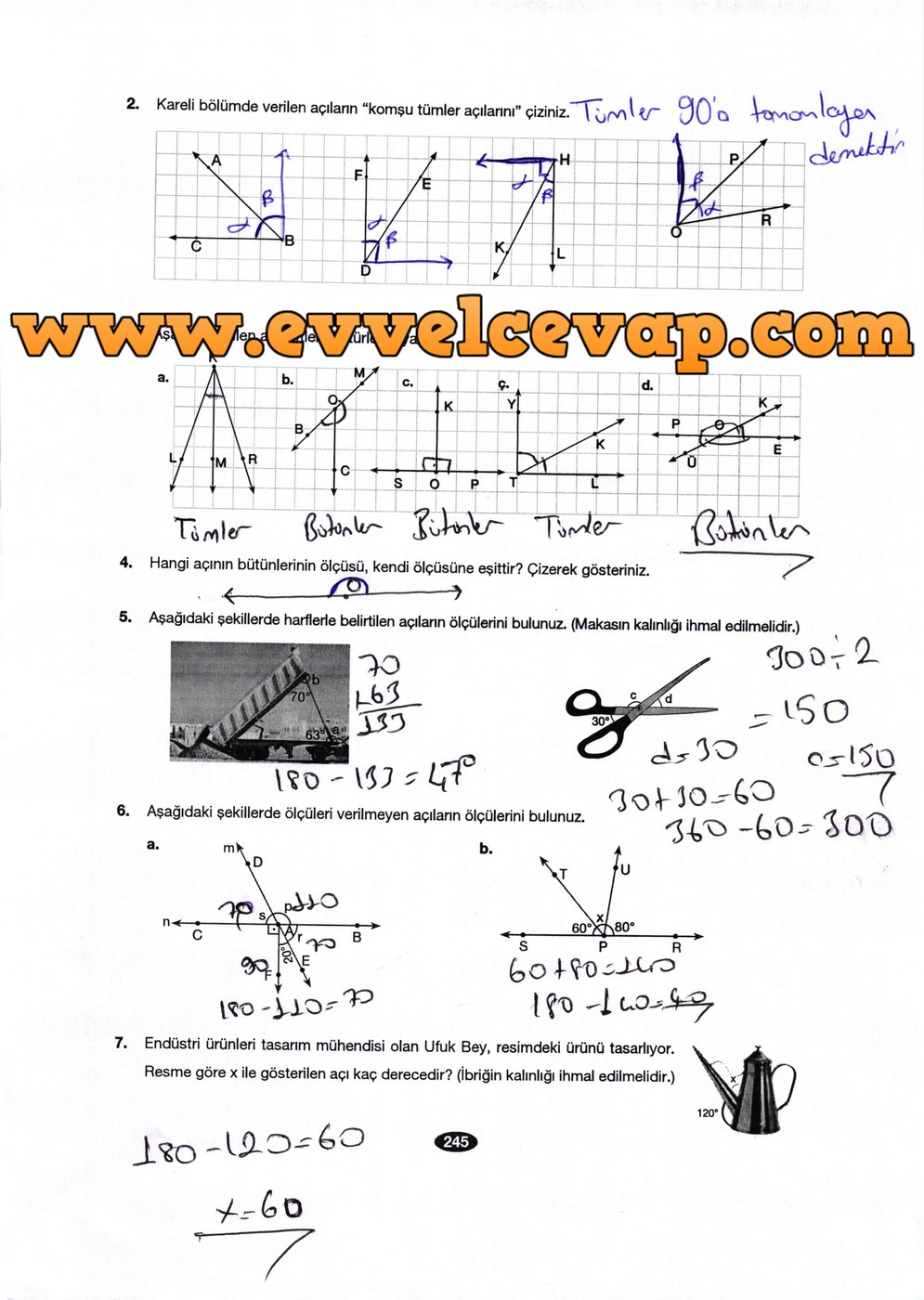 6. Sınıf Berkay Yayıncılık Matematik Ders Kitabı Sayfa 245 Cevabı