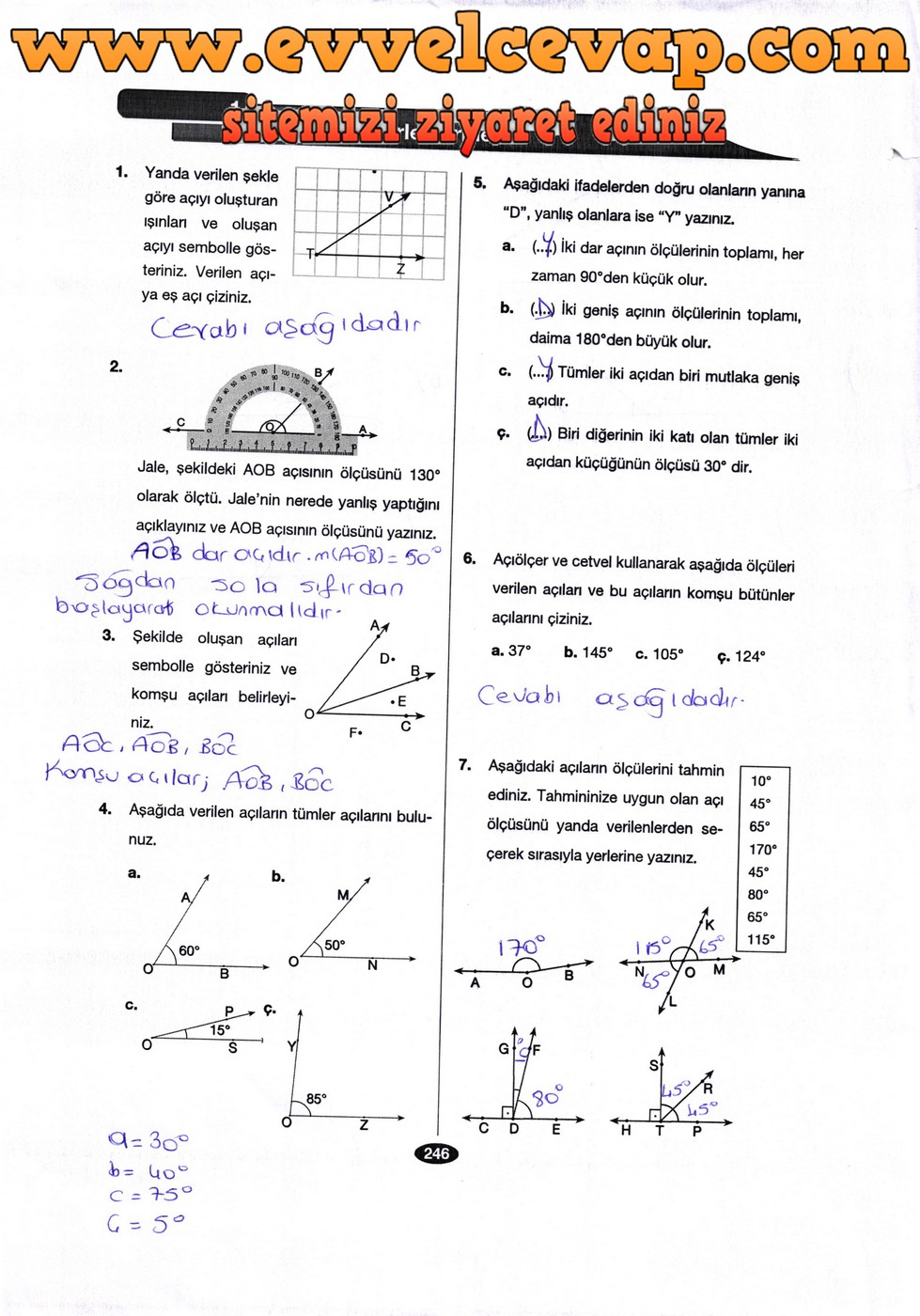 6. Sınıf Berkay Yayıncılık Matematik Ders Kitabı Sayfa 246 Cevabı
