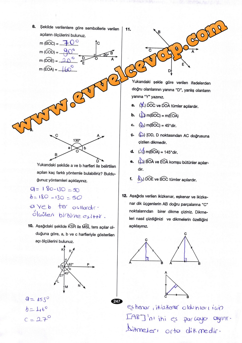 6. Sınıf Berkay Yayıncılık Matematik Ders Kitabı Sayfa 247 Cevabı