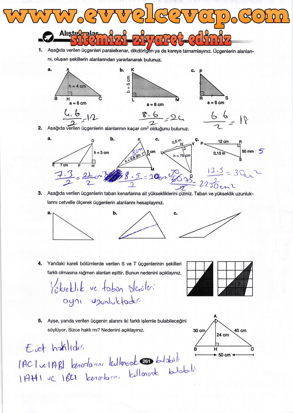 6. Sınıf Berkay Yayıncılık Matematik Ders Kitabı Sayfa 261 Cevabı