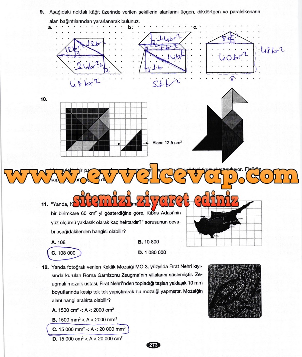 6. Sınıf Berkay Yayıncılık Matematik Ders Kitabı Sayfa 273 Cevabı