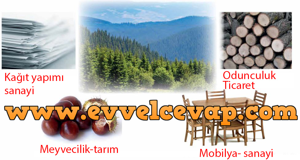 6. Sınıf Meb Yayınları Sosyal Bilgiler Ders Kitabı Sayfa 159 Cevabı