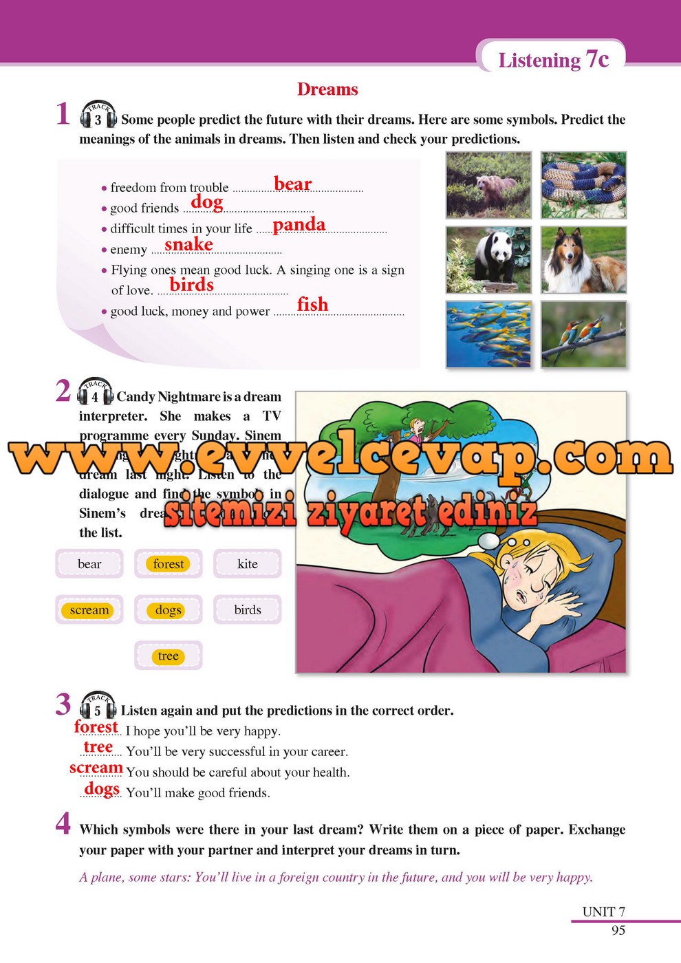 7. Sınıf SDR Dikey Yayıncılık İngilizce Öğrenci Çalışma Kitabı Sayfa 95 Cevabı