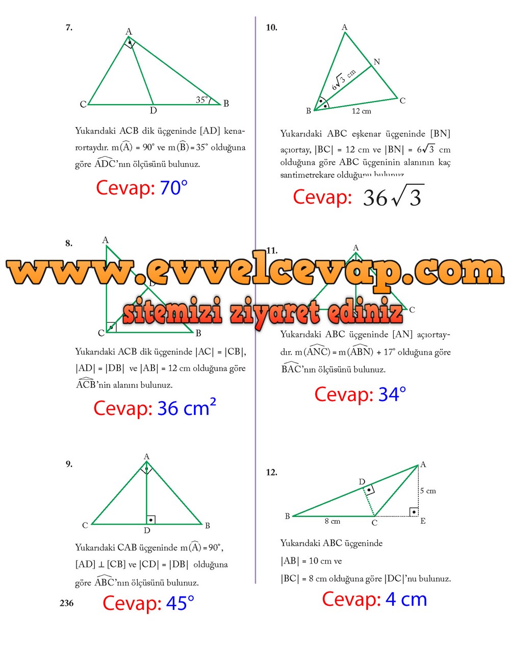 8. Sınıf Ekoyay Yayıncılık Matematik Ders Kitabı Sayfa 236 Cevabı