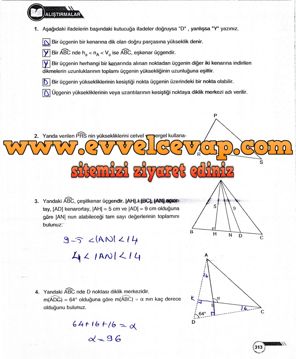 9. Sınıf Ödev Yayınları Matematik Ders Kitabı Sayfa 313 Cevabı