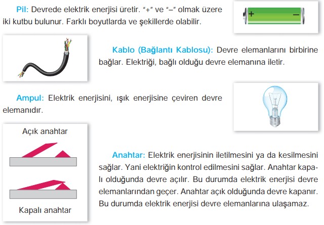 4. Sınıf Ata Yayıncılık Yayıncılık Fen Bilimleri Ders Kitabı Sayfa 215 Cevabı