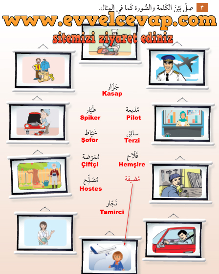 7. Sınıf Meb Yayınları Arapça Ders ve Çalışma Kitabı Sayfa 12 Cevabı