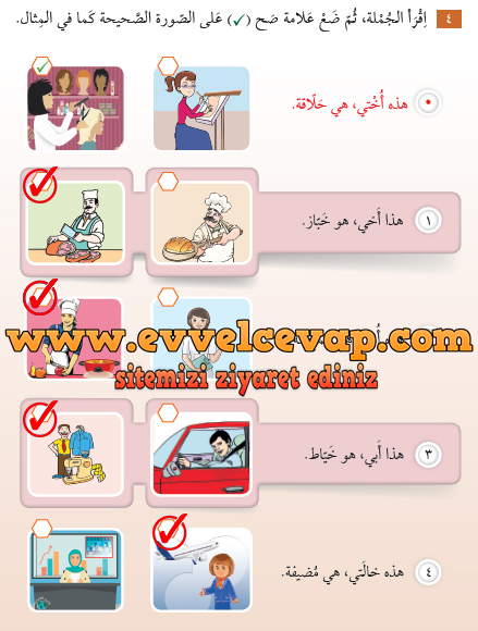 7. Sınıf Meb Yayınları Arapça Ders ve Çalışma Kitabı Sayfa 13 Cevabı