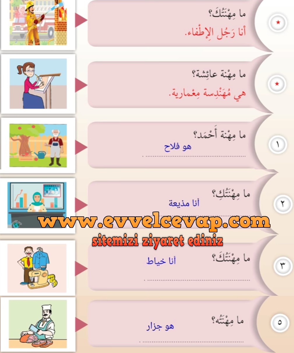 7. Sınıf Meb Yayınları Arapça Ders ve Çalışma Kitabı Sayfa 15 Cevabı