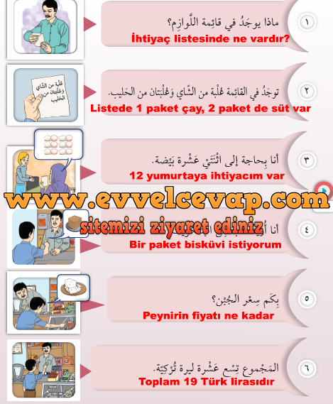 7. Sınıf Meb Yayınları Arapça Ders ve Çalışma Kitabı Sayfa 42 Cevabı