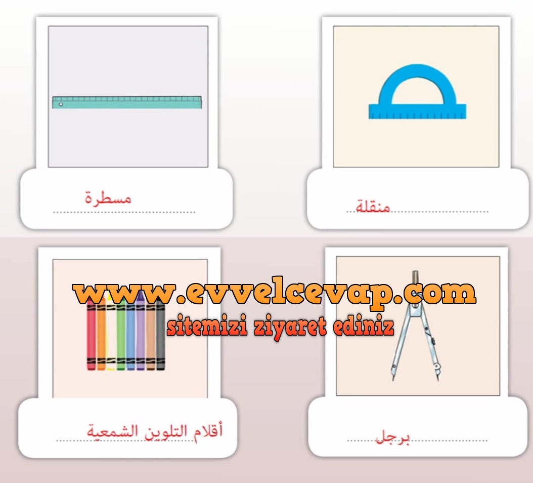 7. Sınıf Meb Yayınları Arapça Ders ve Çalışma Kitabı Sayfa 54 Cevabı