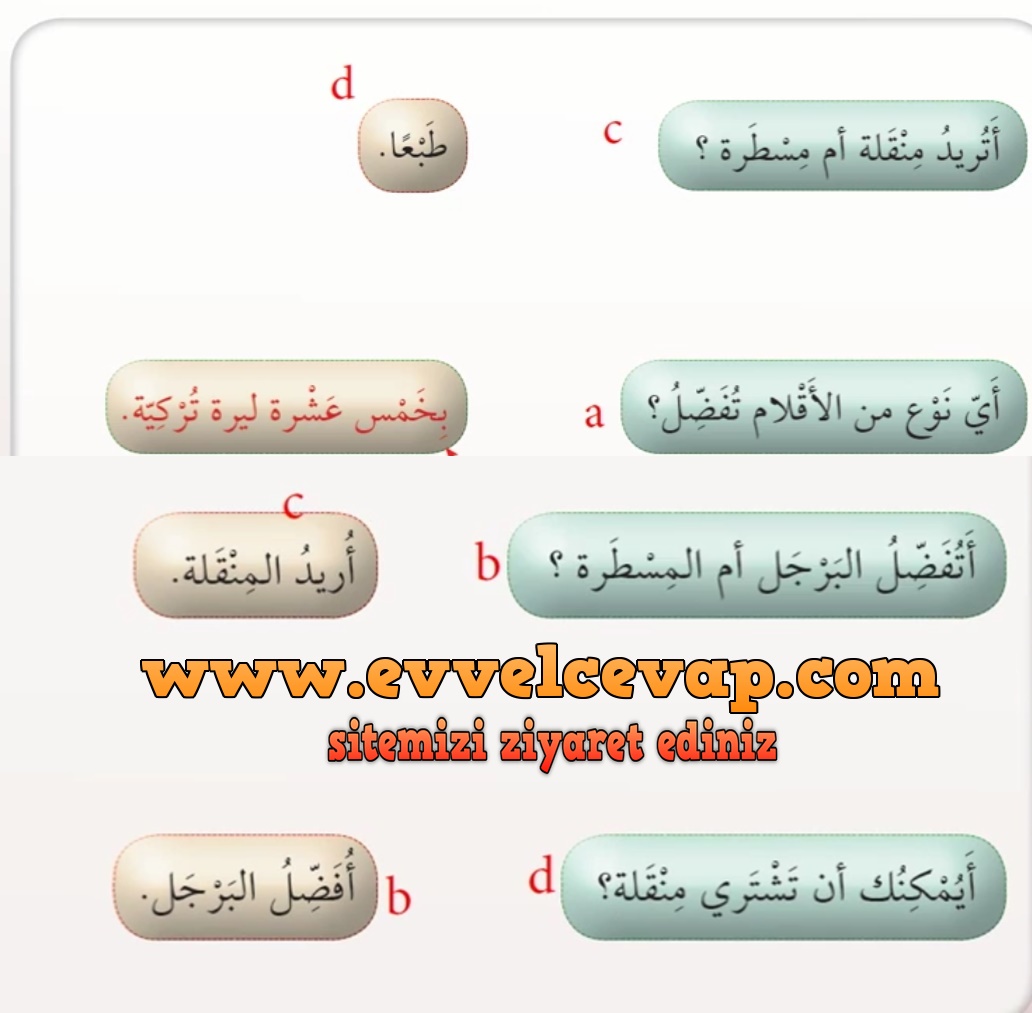 7. Sınıf Meb Yayınları Arapça Ders ve Çalışma Kitabı Sayfa 55 Cevabı