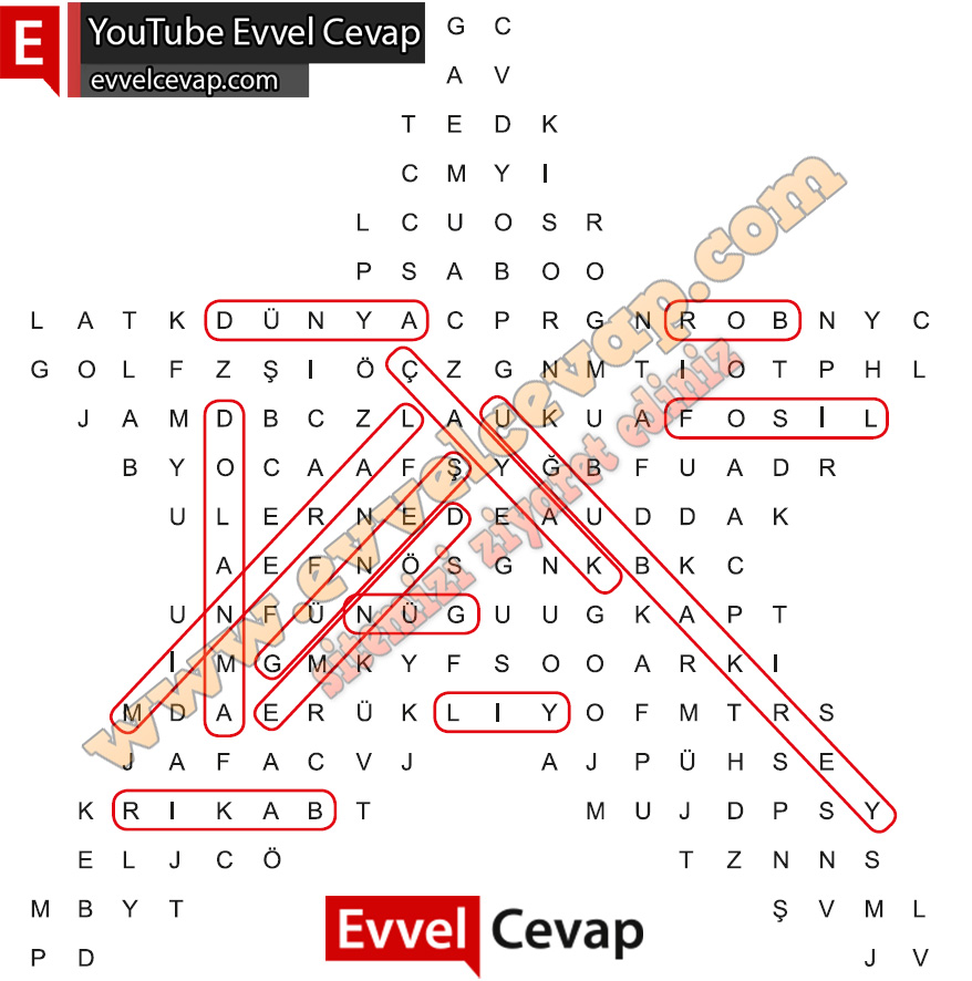 4 Sinif Fen Bilimleri Ders Kitabi Sayfa 49 Cevabi Meb