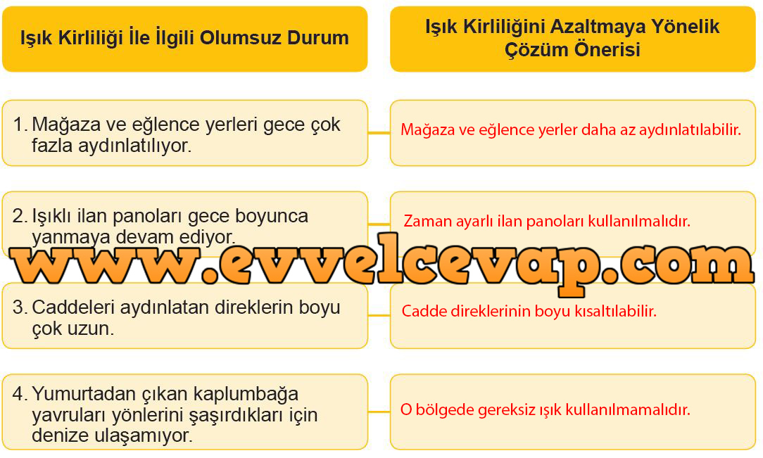 4. Sınıf Meb Yayınları Fen Bilimleri Ders Kitabı Sayfa 204 Cevabı