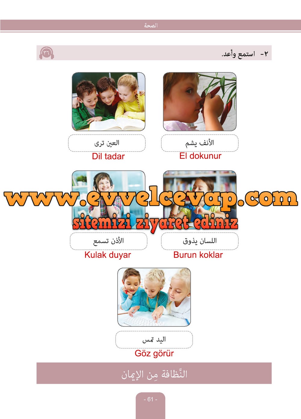 6. Sınıf Arapça Ders ve Çalışma Kitabı Sayfa 61 Cevapları Evrensel İletişim Yayınları