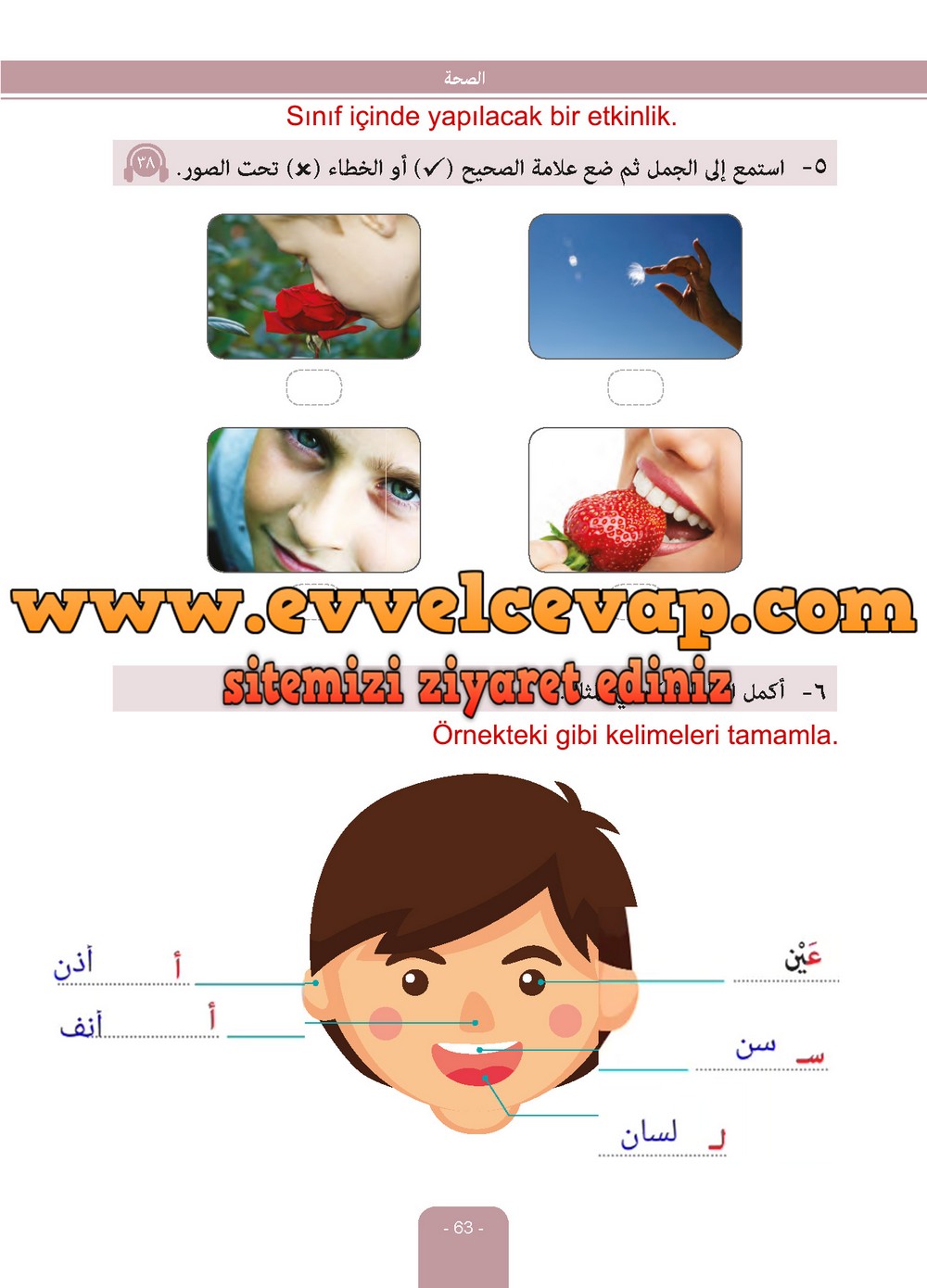 6. Sınıf Arapça Ders ve Çalışma Kitabı Sayfa 63 Cevapları Evrensel İletişim Yayınları