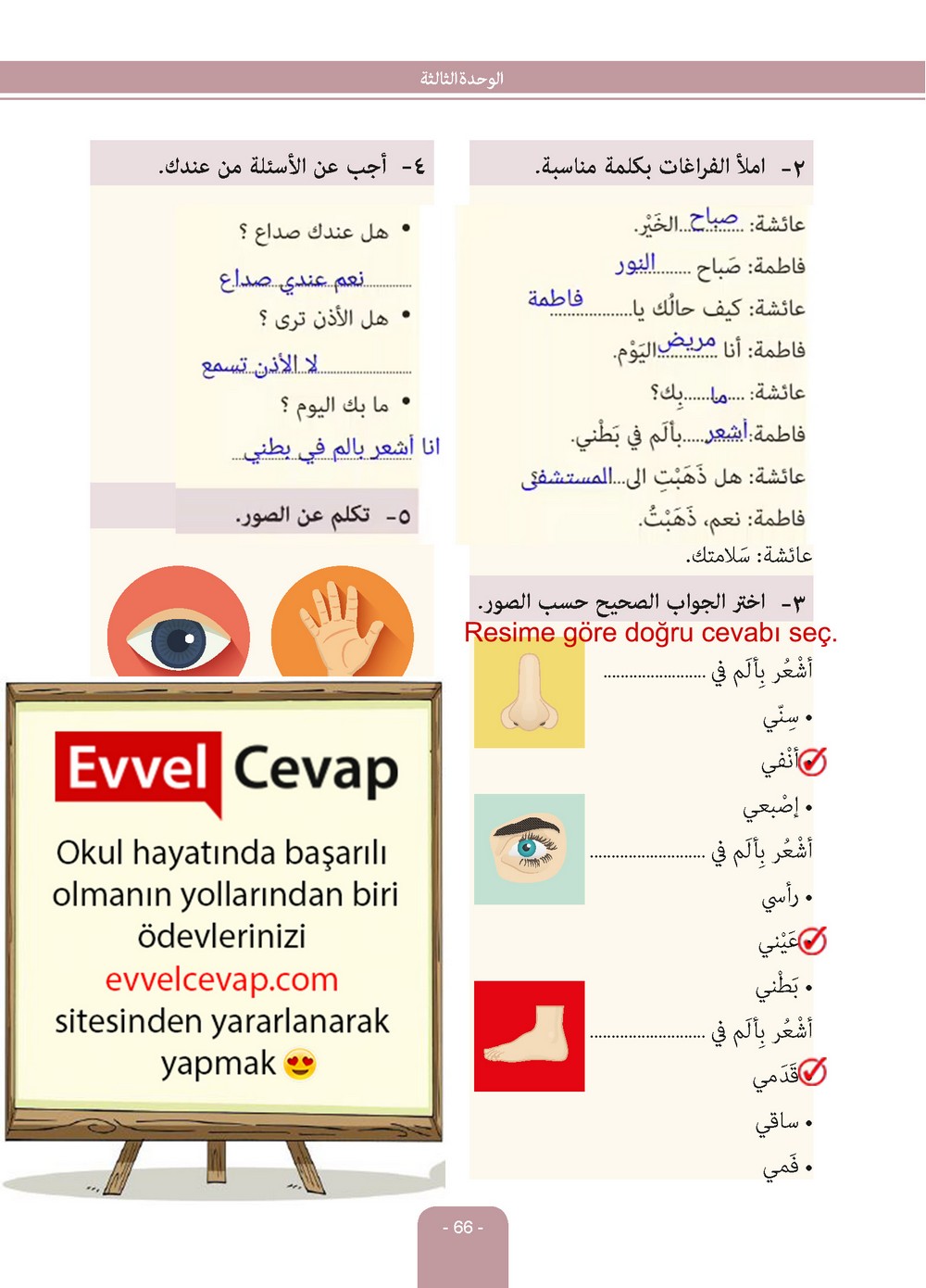 6. Sınıf Arapça Ders ve Çalışma Kitabı Sayfa 66 Cevapları Evrensel İletişim Yayınları