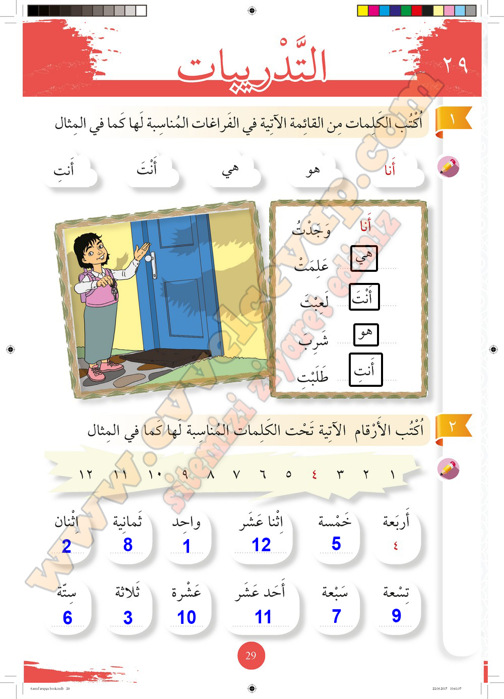 6. Sınıf Arapça Ders ve Çalışma Kitabı Sayfa 29 Cevabı Meb Yayınları