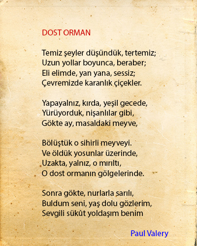 Dost Orman Şiir İncelemesi