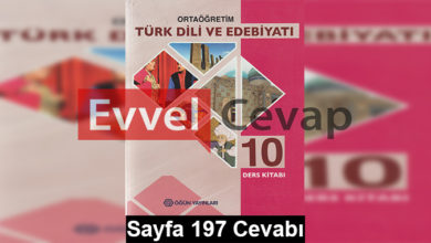 10. Sınıf Türk Dili ve Edebiyatı Öğün Yayınları Ders Kitabı Cevapları Sayfa 197