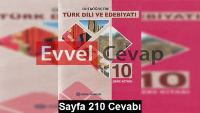 10. Sınıf Türk Dili ve Edebiyatı Öğün Yayınları Ders Kitabı Cevapları Sayfa 210