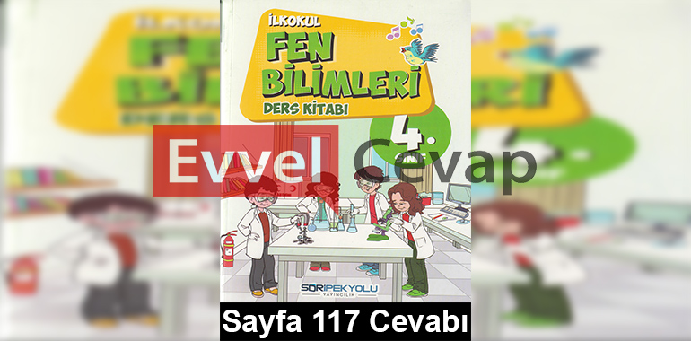 4. Sınıf Fen Bilimleri SDR İpekyolu Yayıncılık Ders Kitabı Cevapları Sayfa 117