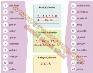 Buldum Buldum Metni Etkinlik Cevapları (6. Sınıf Türkçe)
