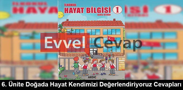 6. Ünite Doğada Hayat Kendimizi Değerlendiriyoruz Cevapları (1. Sınıf Hayat Bilgisi)