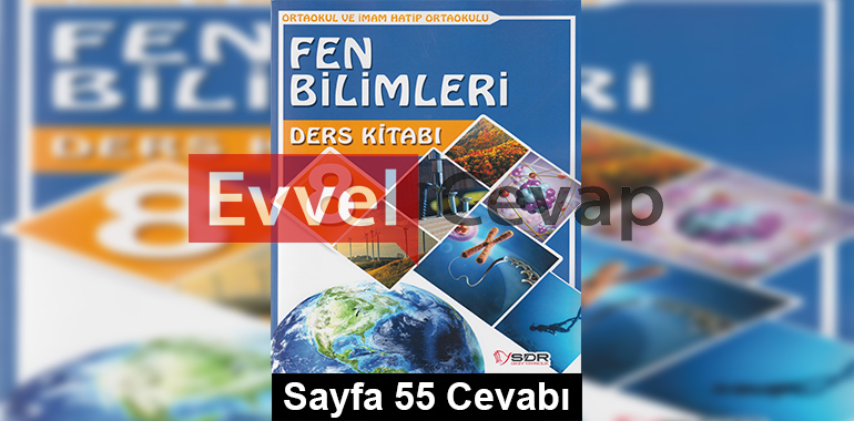 8. Sınıf Fen Bilimleri SDR Dikey Yayıncılık Ders Kitabı Cevapları Sayfa 55