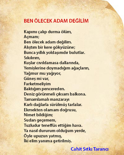 Ben Ölecek Adam Değilim Şiir İncelemesi
